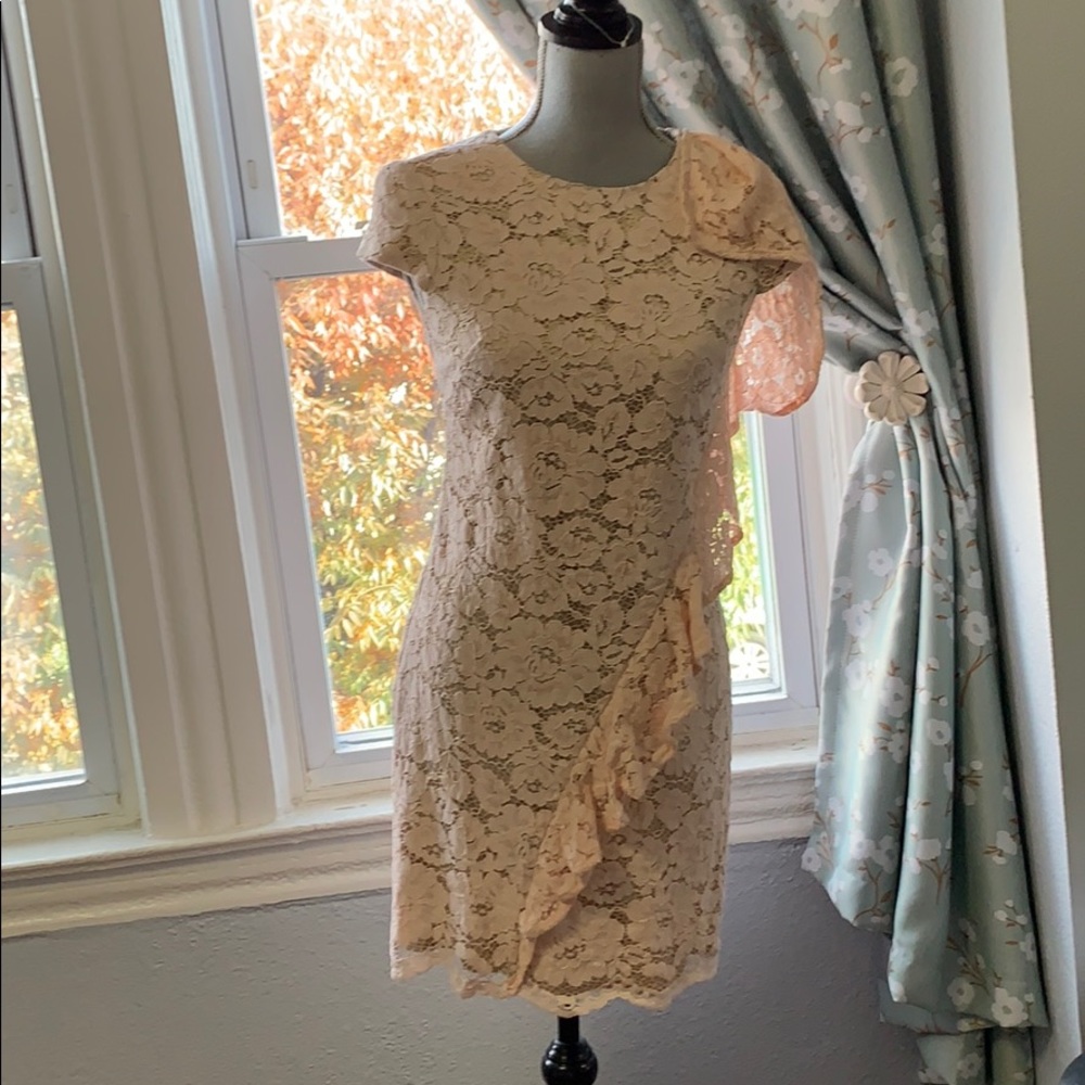 Preowned Vince Camuto sz 2 lace blush dress